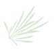 Leaf Icon